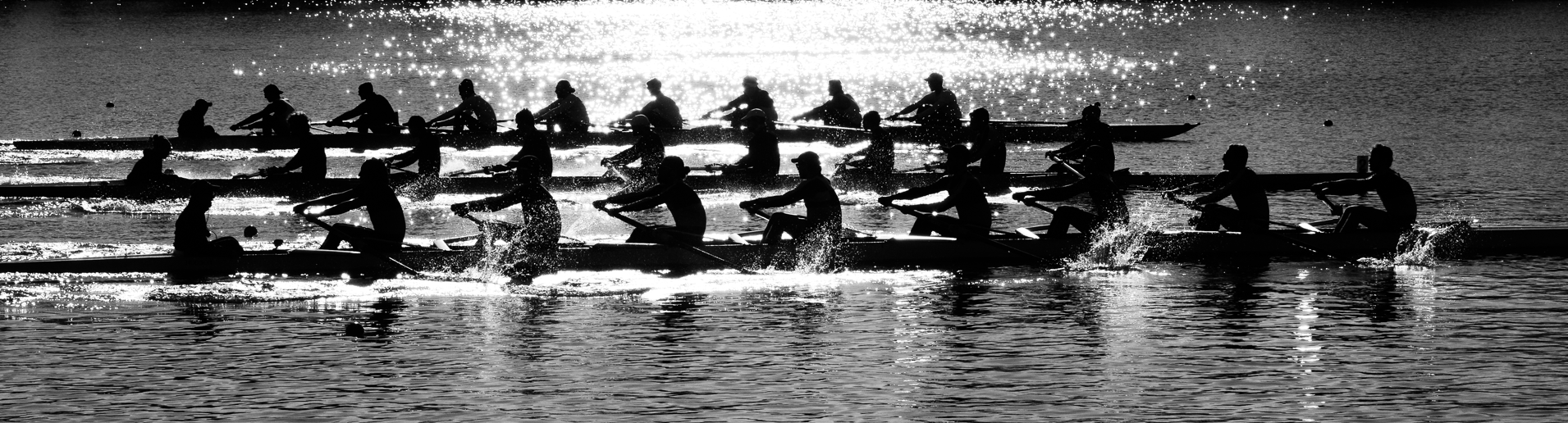 rowing image